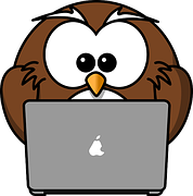 owl on laptop